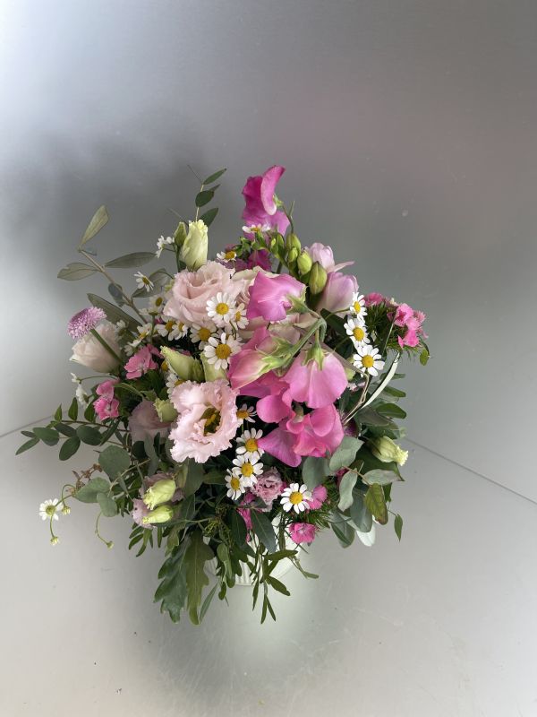 Angebot #91861511778487440