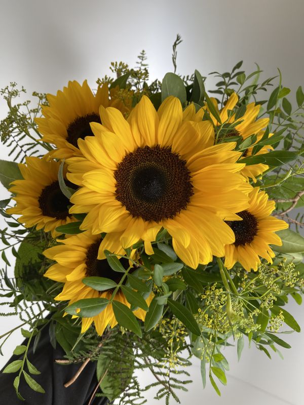 Offer #92948491755463987