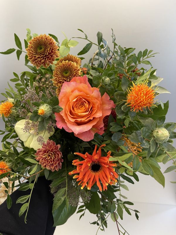 Offer #94110951762158254