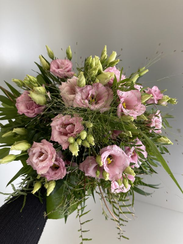 Offer #97868581758020172