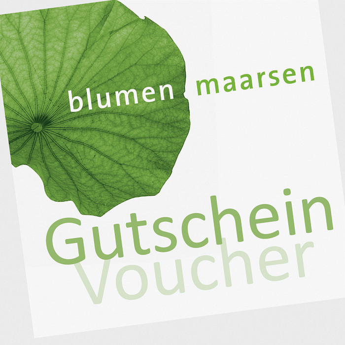 Voucher||| CHF 77 |||A bouquet of flowers with added Maarsen voucher brings joy and a reason to look forward to another bouquet of flowers. The voucher can be easily redeemed by providing its number on the phone, while ordering online, or at our shop on Moserstrasse. A CHF 77.00 voucher allows for a wonderful bouquet of flowers and also covers the postage for delivery throughout Switzerland. It can also be redeemed partially until void. ||| 1495
